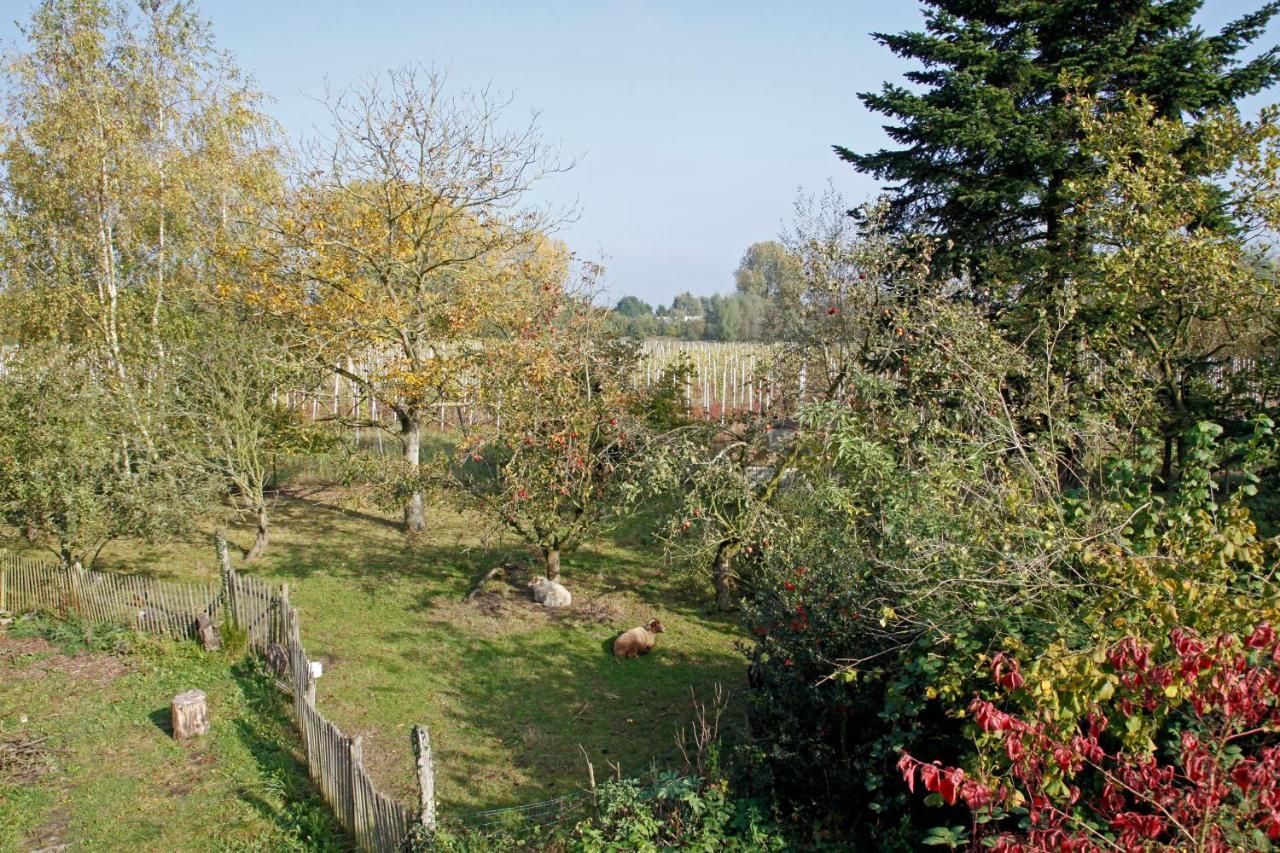 Bed and Breakfast Hof Van Loverrijk Lier Exteriér fotografie
